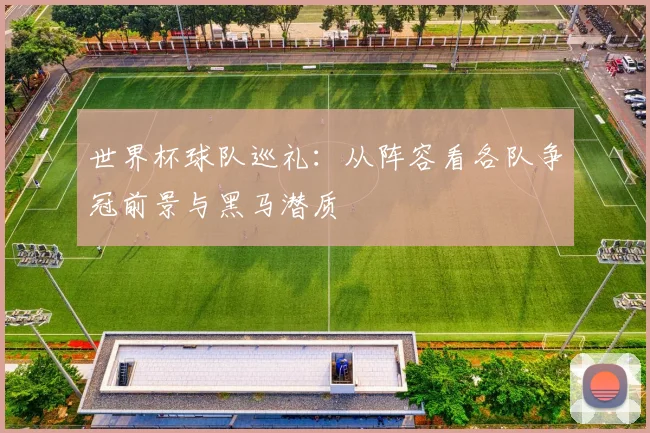 世界杯球队巡礼:从阵容看各队争冠前景与黑马潜质