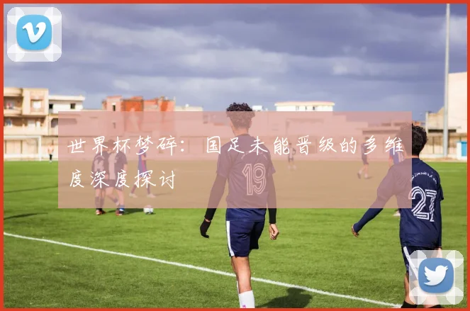 世界杯梦碎:国足未能晋级的多维度深度探讨