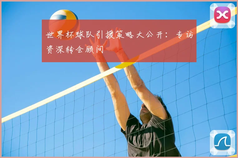 世界杯球队引援策略大公开:专访资深转会顾问