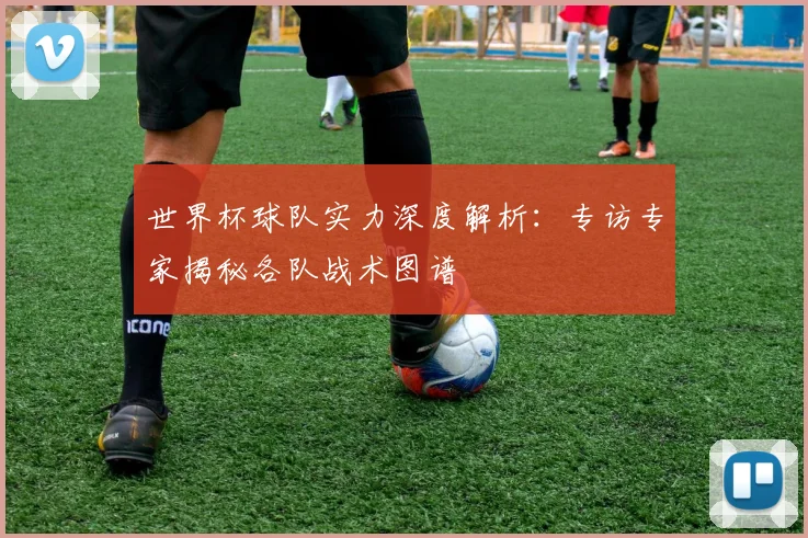 世界杯球队实力深度解析：专访专家揭秘各队战术图谱