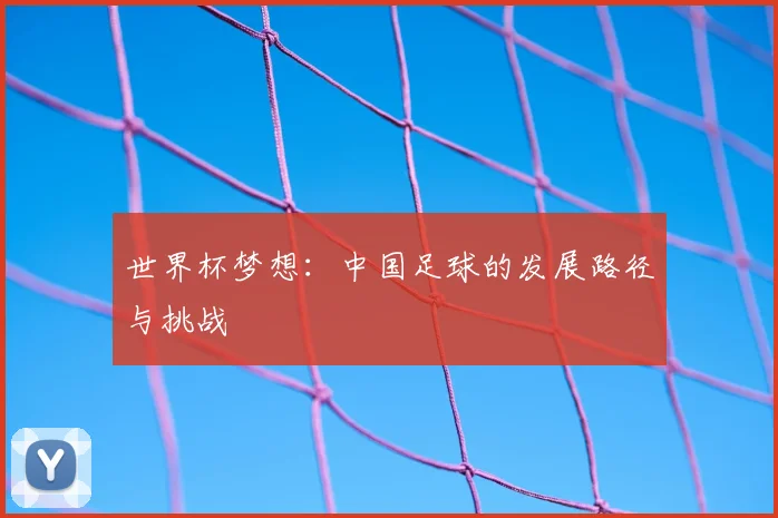 世界杯梦想:中国足球的发展路径与挑战
