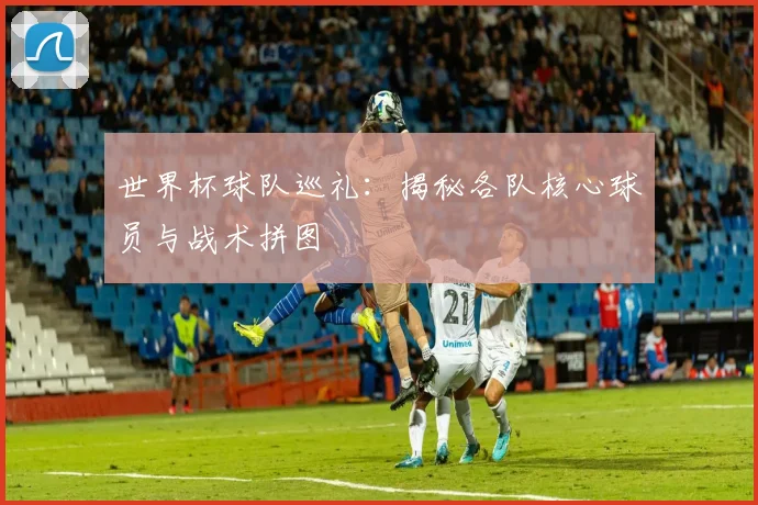 世界杯球队巡礼:揭秘各队核心球员与战术拼图