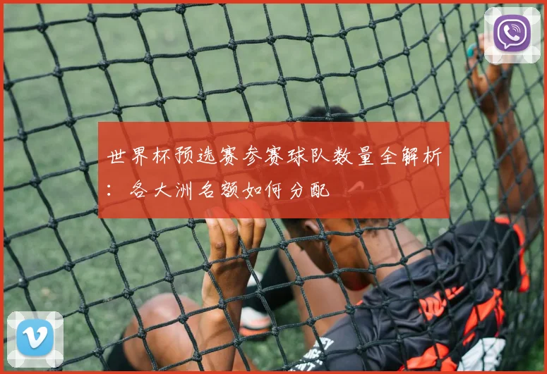 世界杯预选赛参赛球队数量全解析:各大洲名额如何分配