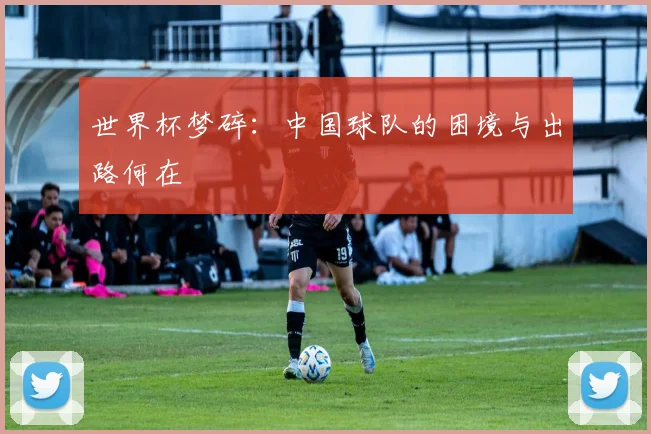 世界杯梦碎：中国球队的困境与出路何在