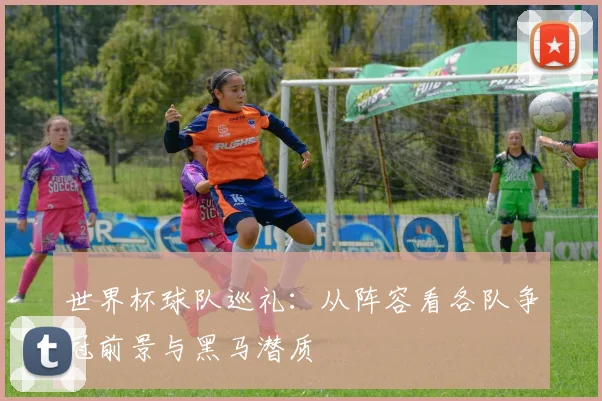 世界杯球队巡礼:从阵容看各队争冠前景与黑马潜质