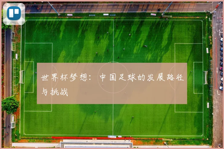 世界杯梦想：中国足球的发展路径与挑战